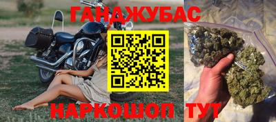 индика Дубна