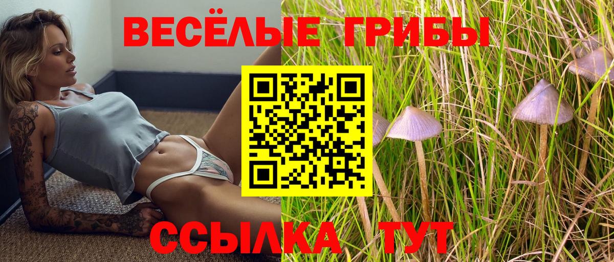 Псилоцибиновые грибы ЛСД Казань