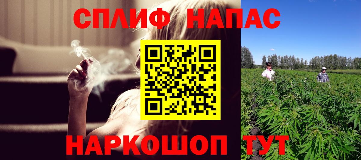 Канабис планчик Казань